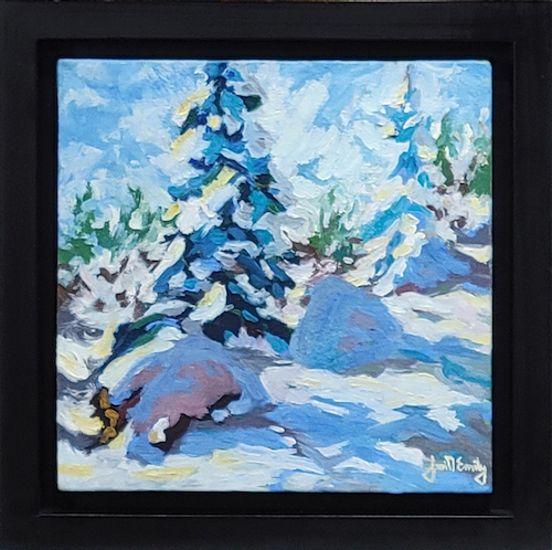 Click to view detail for Snow One 8x8 $750